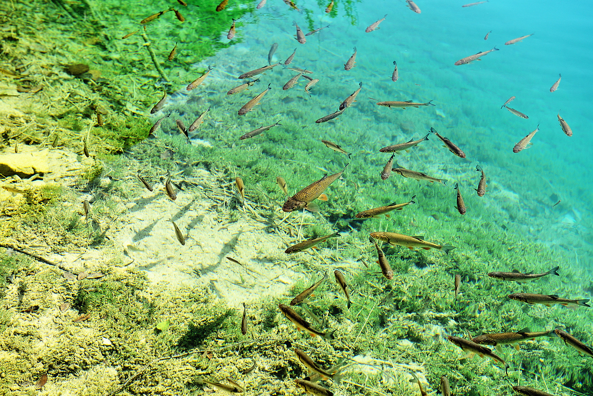 20120816 212 플리트비체 국립공원